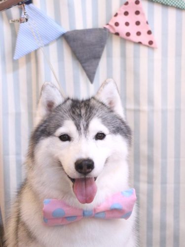 20250502ひかりちゃん